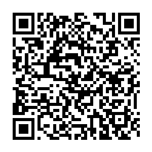 就在妮娜还在想是自己跟他一起睡一会儿还是去找找白兰去哪儿的时候二维码生成