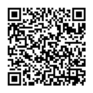 就在张潇晗激发的火凤与天帝手臂幻化成的巨龙吐出的龙息纠缠到一起的时候二维码生成