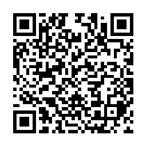 就在愤怒等人因为那亿万万天使的死而感到无比愤怒的同时二维码生成