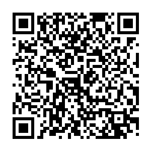 就在我家……我家门口……她就在我家门口……我刚才从猫眼里看见她啦二维码生成