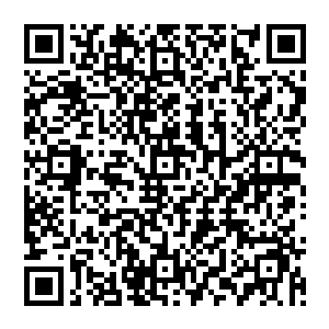 就在我的碎片将在各大异次元中被绞碎之际小红所化的火焰暴涨转眼间就把我的碎肉和血雾笼罩二维码生成