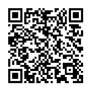 就在杨晨以为自己这下估计要在这一撞之下变成一堆肉沫的时候二维码生成