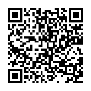 就在林封谨准备消耗自己的五神之力开启这块记忆碎片的时候二维码生成