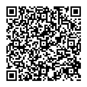 就在此时 灵界之内 每一刻修真星都在一刹那升起一抹光柱 三千汇聚在一起 共同组建出一副庞大的地图二维码生成