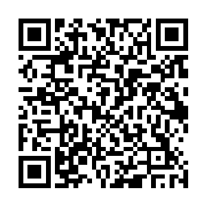 就在血傀和敖烈利用宇宙之眼召唤出更多的宇宙之眼对峙时二维码生成