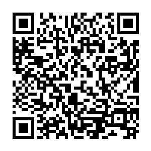 就在许紫烟的面前就出现了一副恢弘的画面在画面中许紫烟的形象出现在那里二维码生成