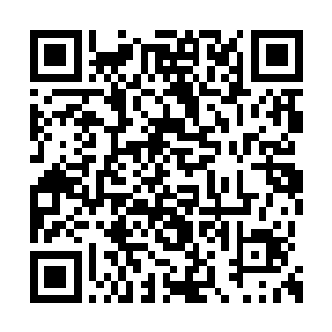 就在赵樽准备收拾漠北十二部抢回被夺粮草之时二维码生成