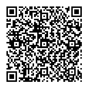 就在这时 别墅的墙上 突然出现了一个个拳头大小的孔 随后 一根根枪管 从孔里伸了出來二维码生成