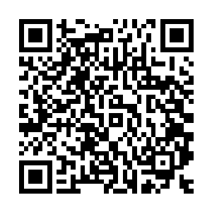 就在这短暂的十几秒中……保安室里的灯光已悄然变成了暗红色二维码生成