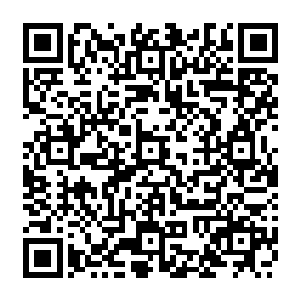 就在那第二十五轮到三十轮之间……假如猜解者无法在第三十一轮之前猜出正确答案二维码生成