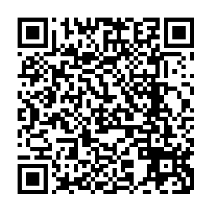 就在青帮众人携雷霆之势准备大举进攻洪门在玉州区的总堂口和大据点时二维码生成
