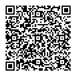 就大致明白了深渊屠戮者紫瞳的实力可以增长多少了……不是说实力一定增长了邪灵核心总力量的四分之一二维码生成