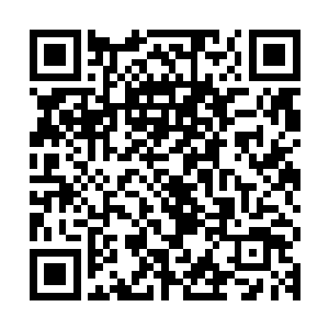 就好似是我们把手伸进一堆红枣或是别的什么密集物质里去一样二维码生成