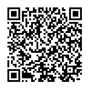 就好像皇族武英氏会出现武英澜这种猫不疼狗不爱的旁系支脉一样二维码生成