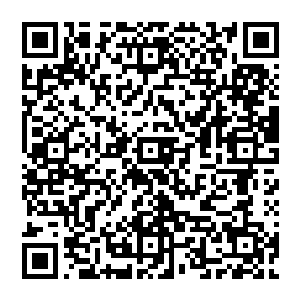 就好比现在的风清扬 感受着那传來的灵气浓度 他深深地呼吸一口气 感激的看着一旁的婉儿二维码生成