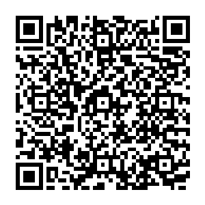 就如同一地的野狼的尸体再配合着一头纯洁的小羔羊在狼群尸体中安然无恙的站着一样二维码生成