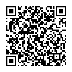 就如同他第一次在巴克面前展示自己枪枪爆头抢下专家的枪法一样二维码生成