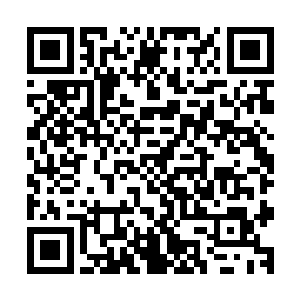 就完全是由张语涵和古听风两人自己去和他们联系协商就行了二维码生成