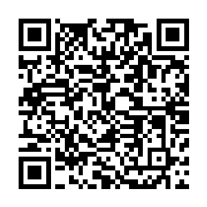 就将在整治过程中遇到了具体人和事实事求是的例举了出来二维码生成