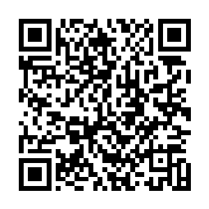 就已经不再是一段简单的大姐姐拉扯自己的傻弟弟的故事了二维码生成