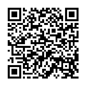 就已经代表着彼此之间的亲情和关系没有任何的问题二维码生成