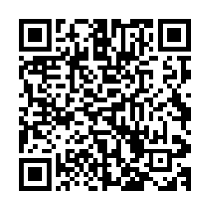 就已经去掉几乎半条命了……秦方估计这个猎杀者也是一样的二维码生成