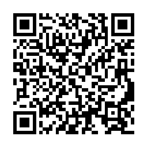 就已经顺带着用透视异能把赵永生手里拿着的那几页赛程表二维码生成