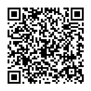 就帮忙把可以投入实用的单兵战术终端搞出来了而且还是在高灵气活跃度二维码生成