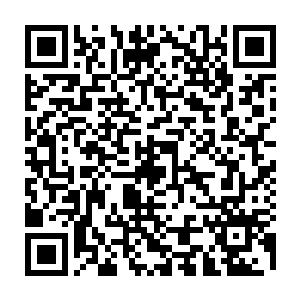 就彻底的没有了声息……而秦方的侦查技能也显示了结果……真的已经死翘翘了二维码生成