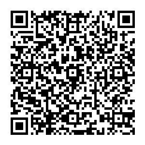 就快速切断了网络把这台电脑硬盘上所有能找到的文件数据全都复制到掌上电脑附带存储卡里二维码生成