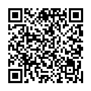 就怕外敌入侵的当下国家根本无法顾暇他们这些普通人了二维码生成