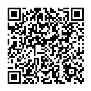 就把仰躺在座椅上深陷在悔恨和自责中的人从里面给硬生生的拽了出来二维码生成