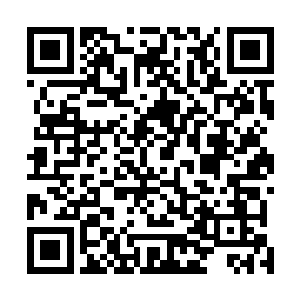 就把十颗大夜明珠和三十六颗小珍珠按照方位布置完毕了二维码生成