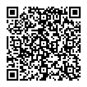 就接连不断的看到血魔宗弟子被人击杀与路旁的场景……且这样的场景一路延续上来二维码生成