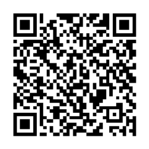 就撞见了梁维和林凡相谈甚欢的样子并肩往门口走来二维码生成