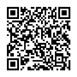 就敢在陈观出门的时候硬生生地把他喊回自己的卧室二维码生成