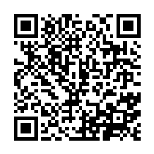 就是……为什么我……我……我的衣服为什么全没了二维码生成