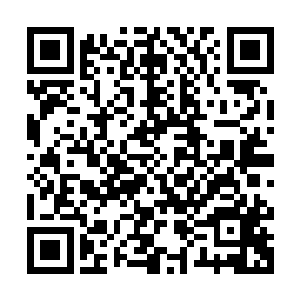 就是之前因为敖星星开口而不再言语的敖月月也惊的瞪圆了眼眸二维码生成