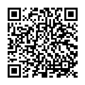 就是人族用元神或者万族中高等种族以上的大人用他们的纯血二维码生成