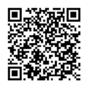 就是你们统领也不敢再本侍卫长面前蹦跶……你算个什么东西二维码生成