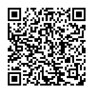 就是兑换了初级气功中级气功以及男爵血族血统子爵血族血统的郑吒二维码生成