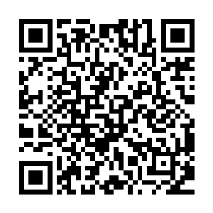 就是六国遗族为主的修行家族实力跟大秦官方之间的明争暗斗二维码生成