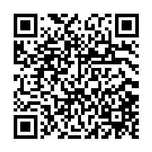 就是几十亿地球亡灵对一小撮宇宙权贵和富豪的复仇之战二维码生成