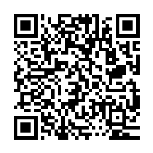 就是十大势力当中排名第二的血影门也不敢如此的对待他们吧二维码生成