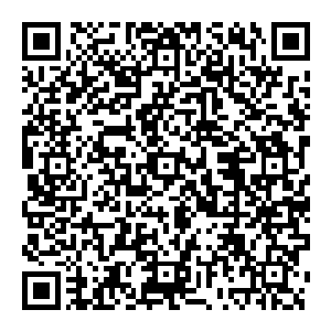 就是各个国家各家公司打给他们的预付款都能够让他们成为全世界最富裕的一群人现在我们既然已经知道火焰病毒有了解药二维码生成
