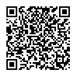 就是因为他们实力相当造成的但是他们每一个都是超越你目前你的水平的二维码生成