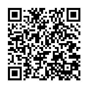 就是因为还无法证实这两颗珠子到底是不是翡翠二维码生成