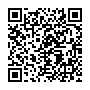 就是在参加考核之前就已经把你名下的各项业务全部都统计好了二维码生成