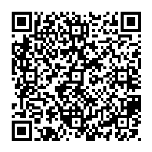 就是在各种神体血脉绝学神器等等能增幅攻击力的手段统统都不施展情况下的力量二维码生成