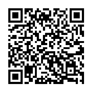 就是在等待赵虎在联邦大学复试和终极考试中的表现二维码生成